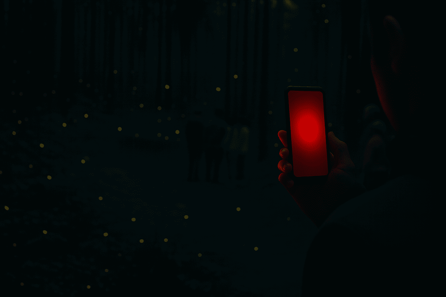 Guía para tomar fotos nocturnas sin dañar a las luciérnagas