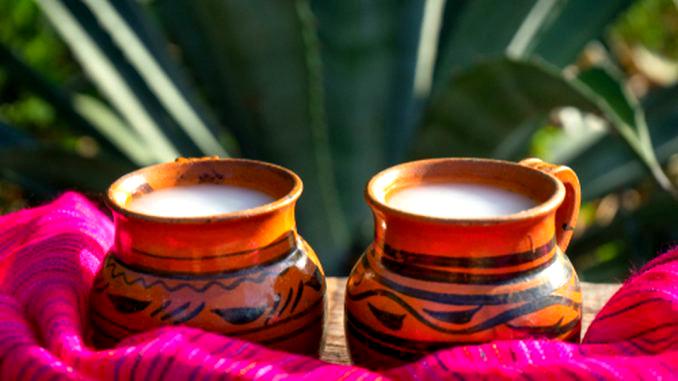 🌽 Del pulque al pinole: ruta gastronómica tlaxcalteca antes del avistamiento