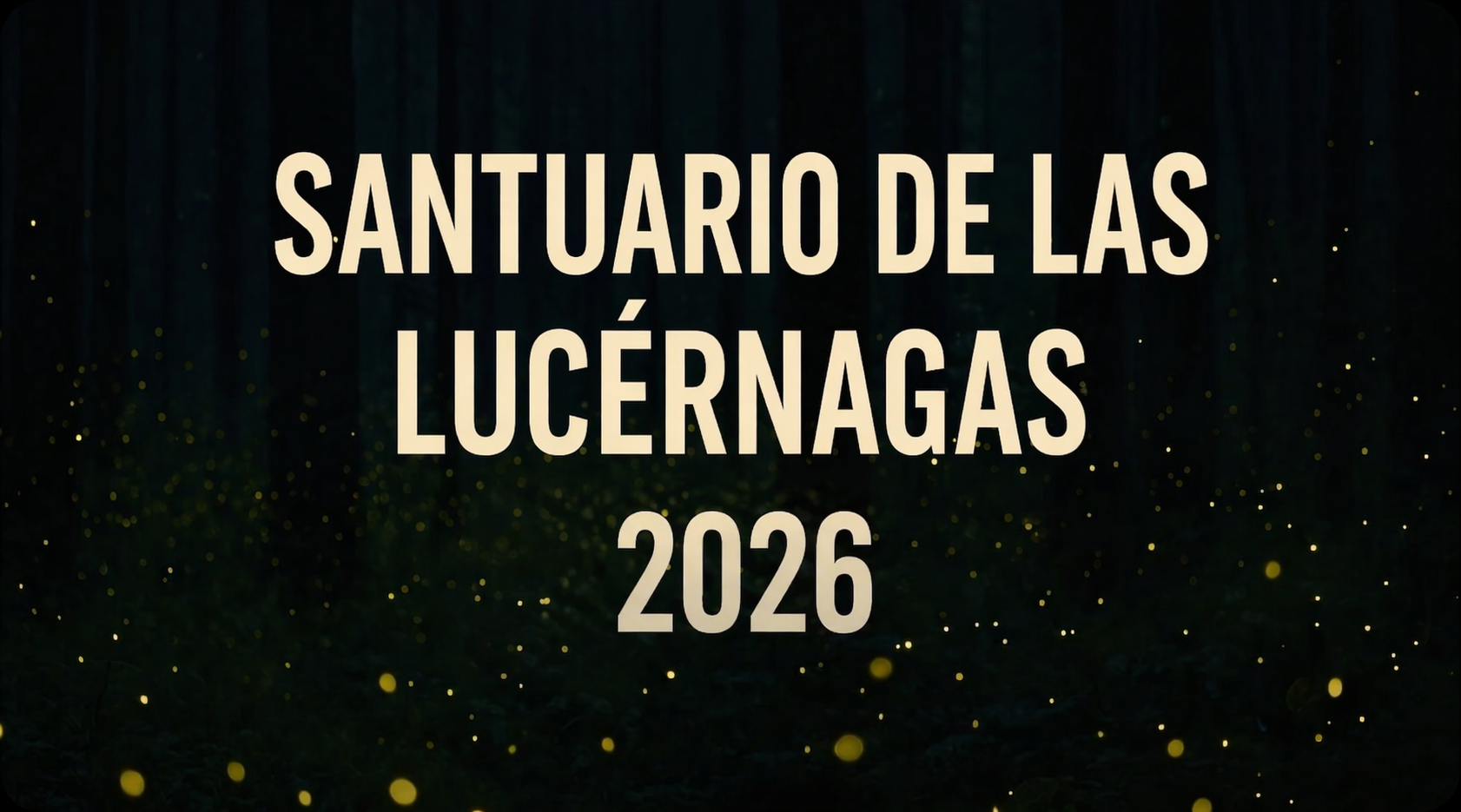 ¿Cuál es el mejor santuario de luciérnagas en México? Comparativa entre Tlaxcala, Puebla y Estado de México