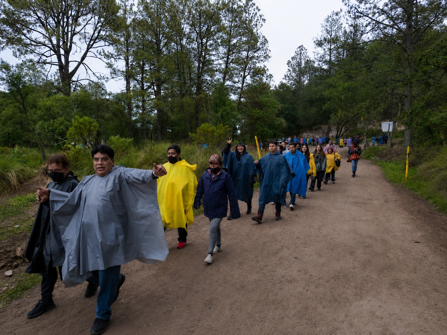 Tour al Santuario de Luciérnagas desde CDMX