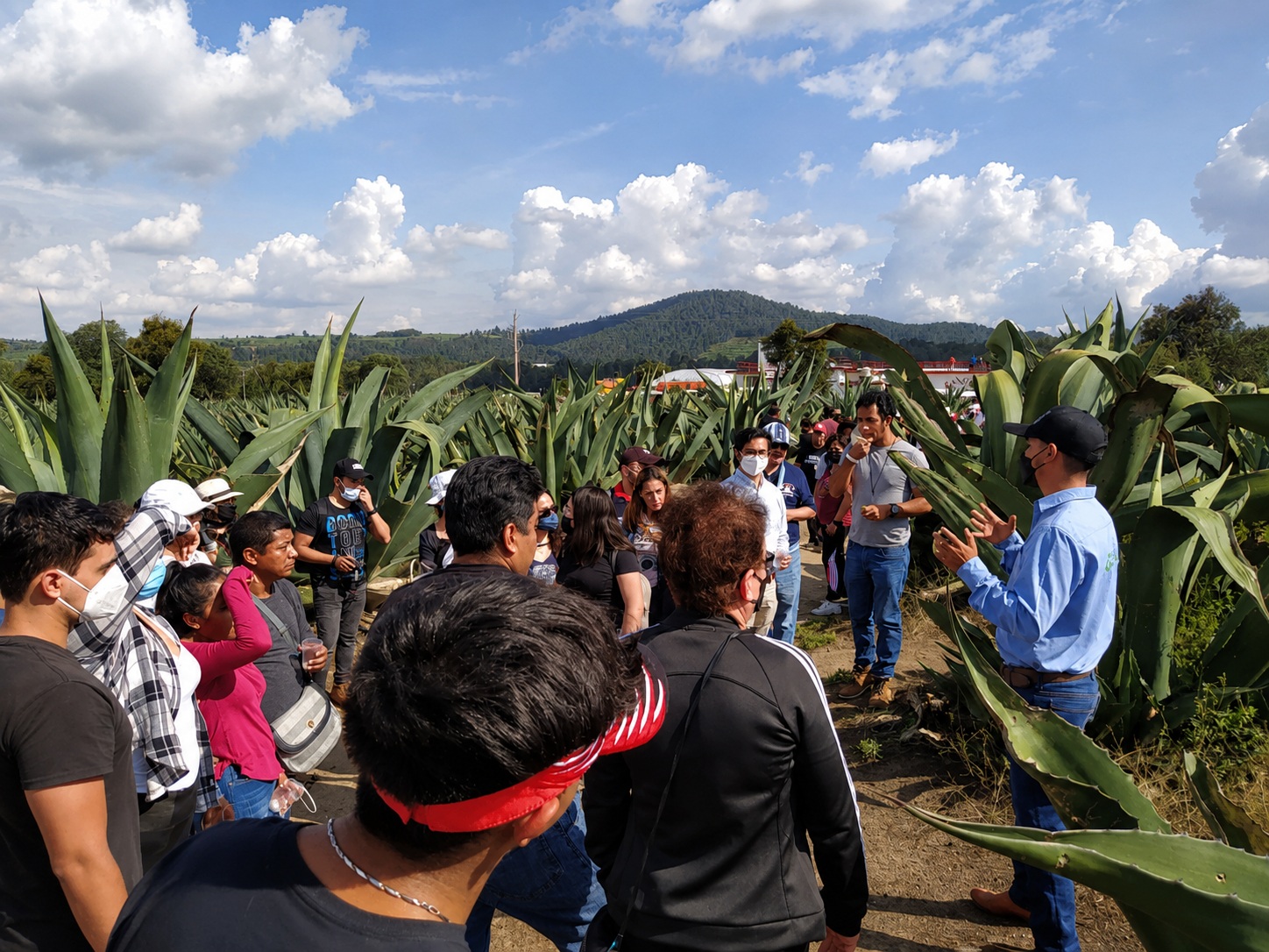 Grupo de visitantes en tour pulquero en el Santuario de las Luciérnagas