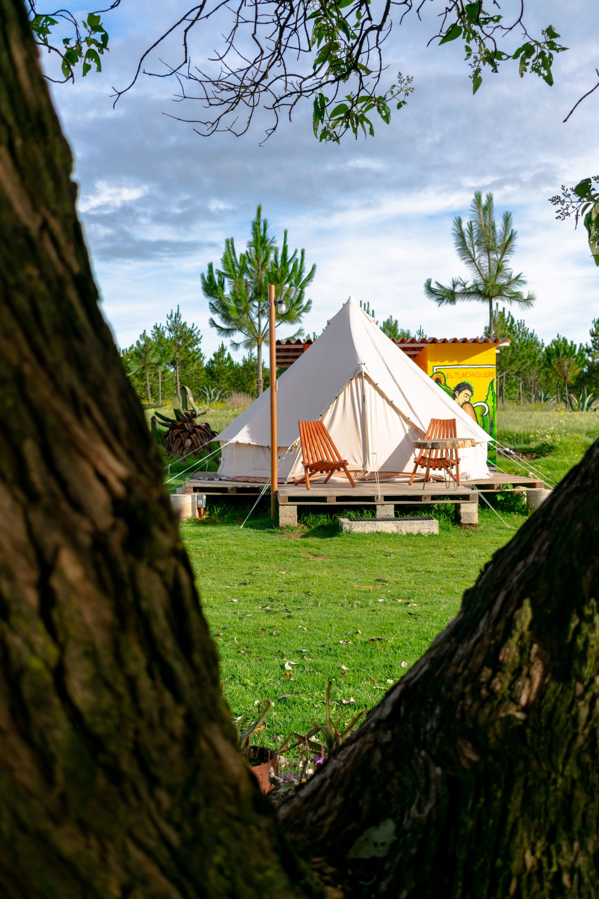 Glamping Octli + Safari Bioluminiscente | Duerme dentro del Santuario